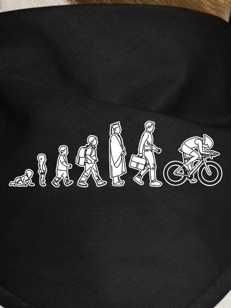 Evolution eines Radfahrers