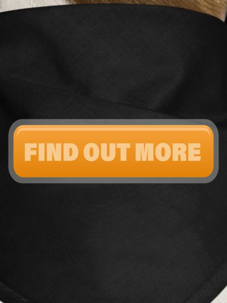 FIND OUT MORE