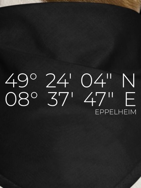 Coordinates Eppelheim