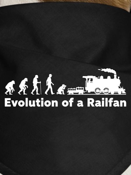 Evolution Railfan Train Locomotive