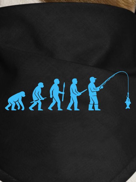 Evolution des Angelfangs