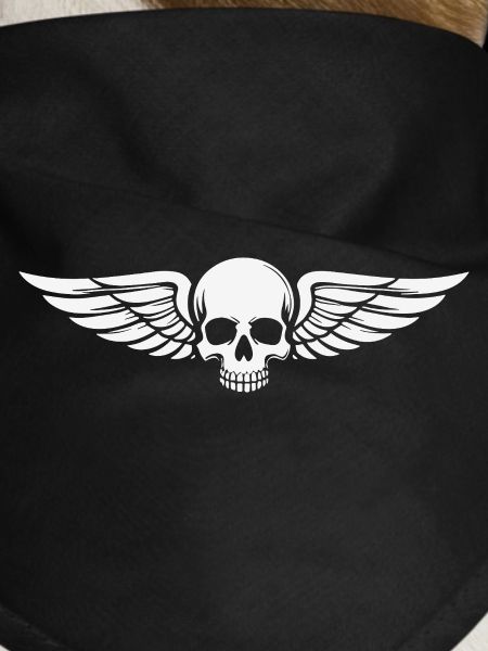 Skull Wings Biker Motorcycling