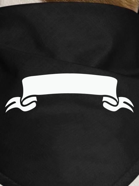 sleeve