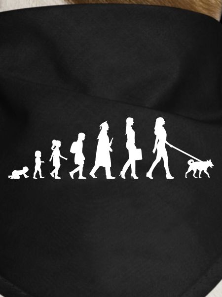 Evolution of a dog owner