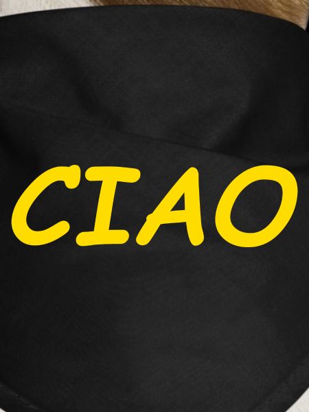 CIAO