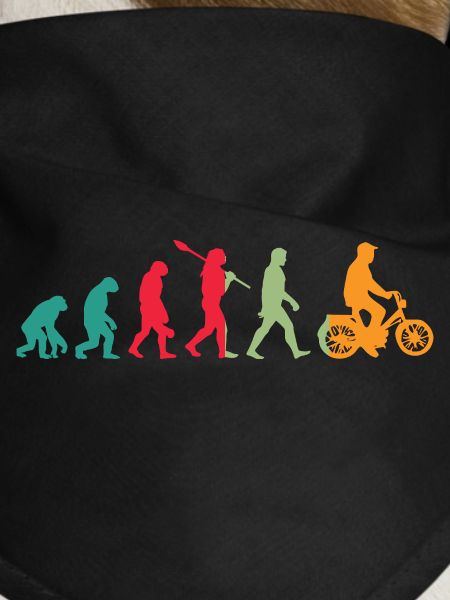Mofa Evolution Moped
