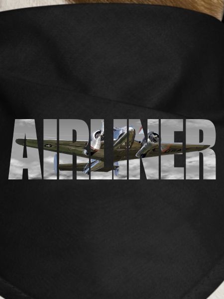 Airliner Beechcraft