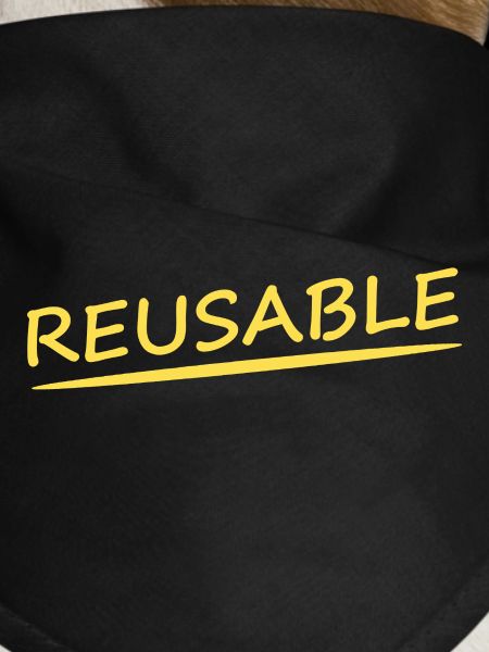 REUSABLE