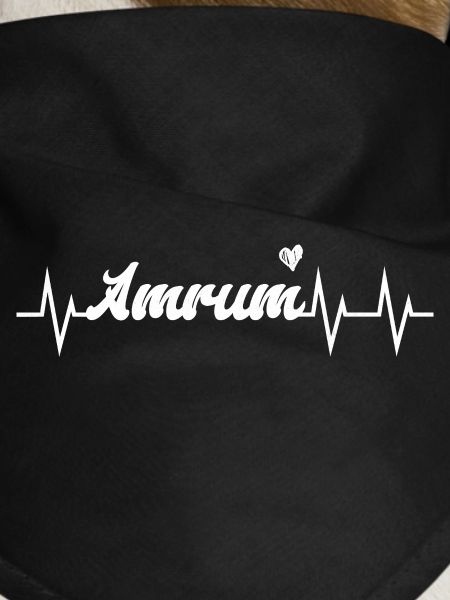 Heartbeat Amrum