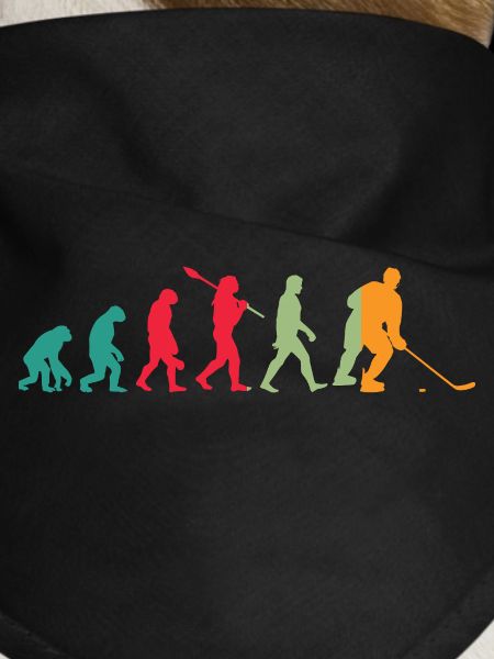 Evolution Eishockey