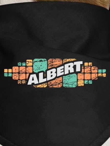 Albert as a given name