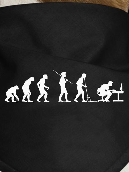 Evolution Programmierer Computerfreak