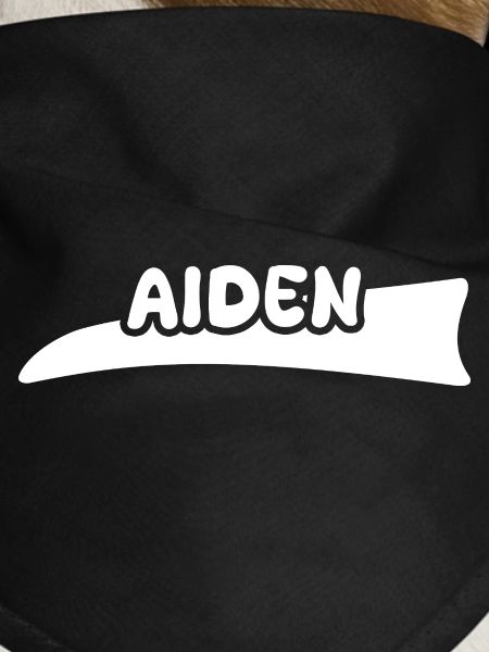 Gift for Aiden
