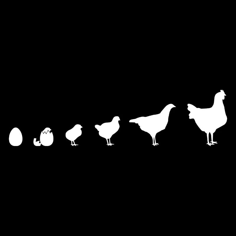 Instantané Famille de poussins, Poulet, Évolution,