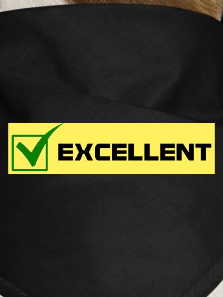 EXCELLENT