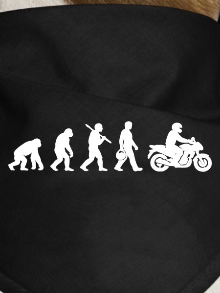 Evolution to a motorcycle