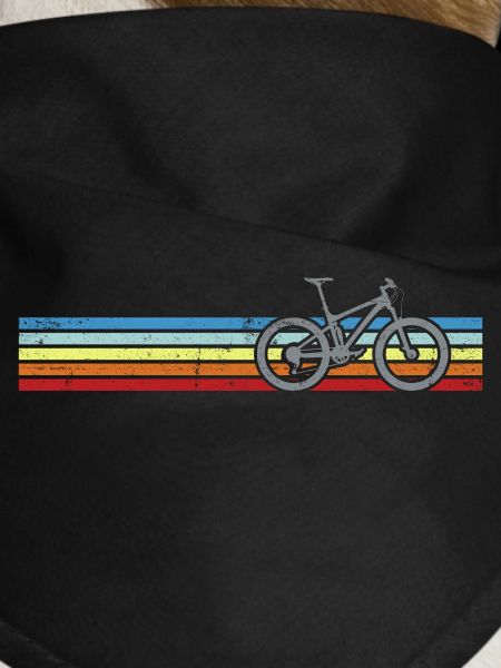 Rainbow Stripes Bicycle