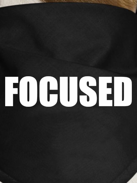 Focused