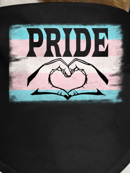 Transgender Pride