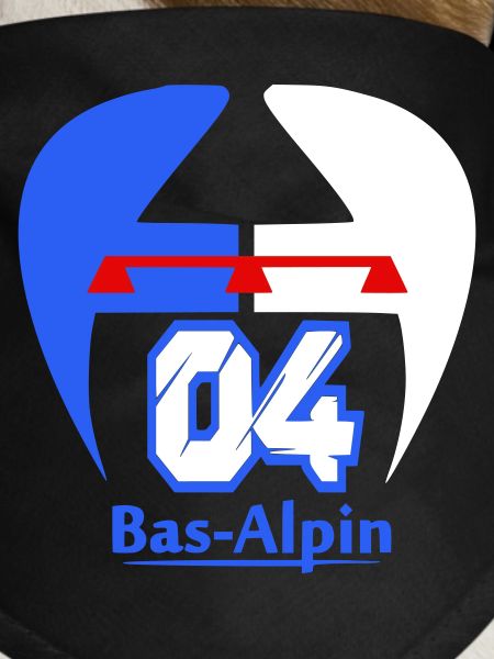Bas-Alpine logo