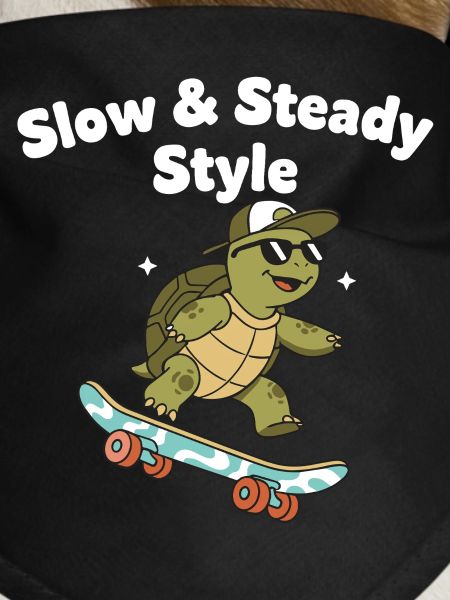 Slow Skate Turtle
