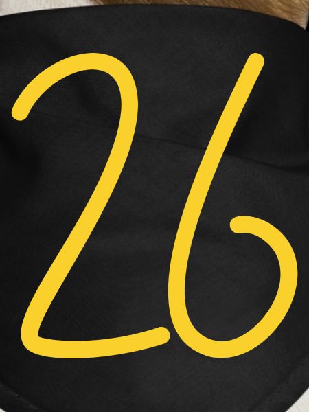 26