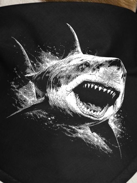 Black and White Shark Silhouette