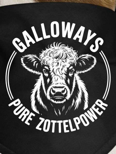 Galloway Beef Head