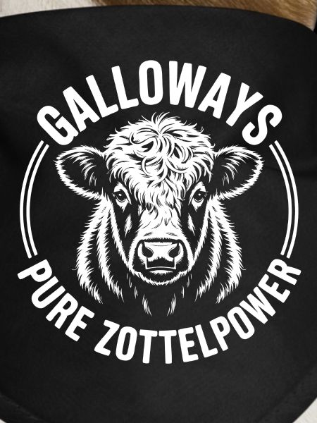 Galloway Beef Head