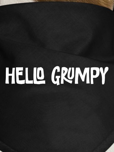 Hello Grumpy. – Minimal Statement Hey