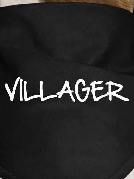 VILLAGER