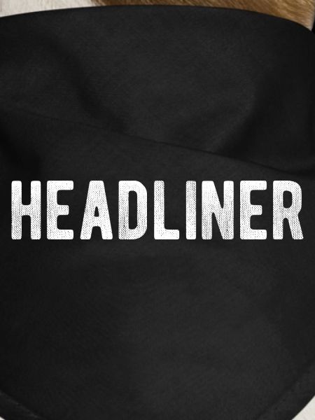 Headliner logo