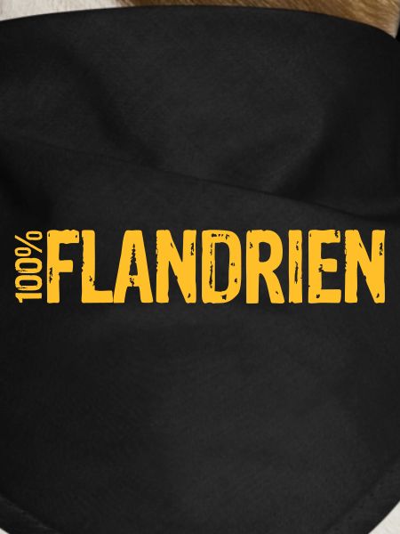 100% Flandrien