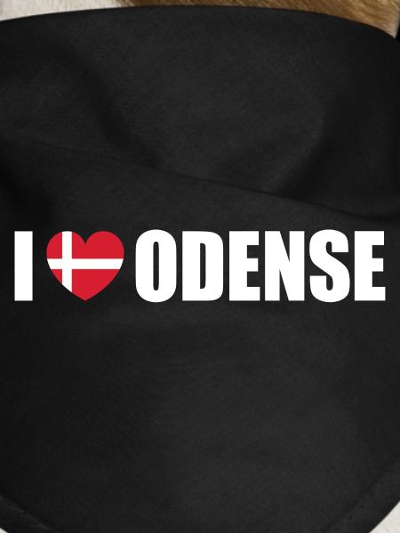 I love Odense Denmark
