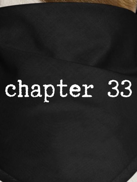 chapter 33 Birthday