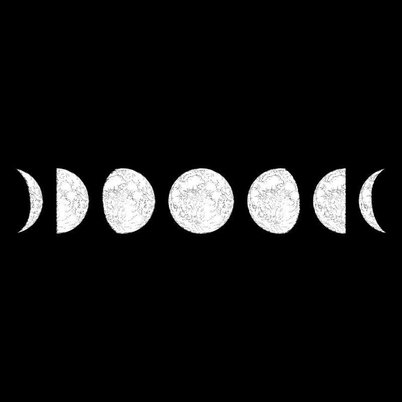 Moon Phase Circle Sequence