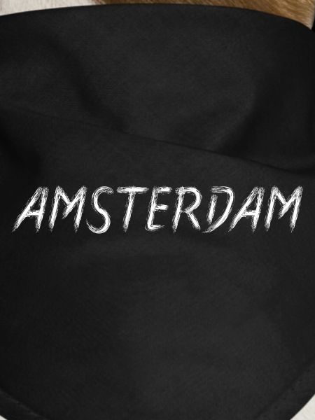 Amsterdam Brushstroke Script