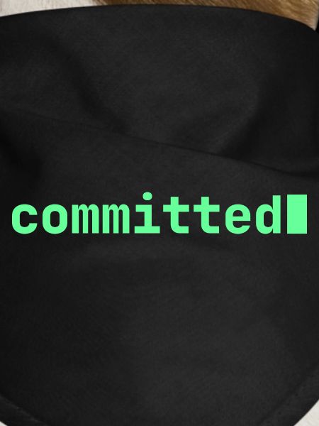 Feeling Committed | Developer mood 