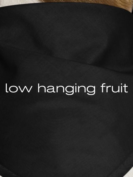 low hanging fruit