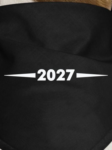 2027_strich-