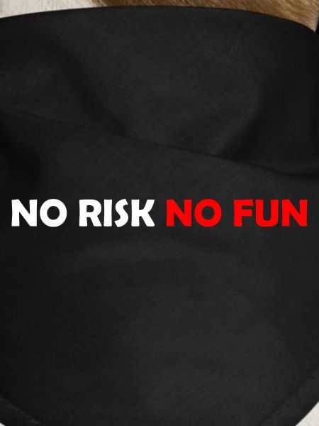 No Risk No Fun