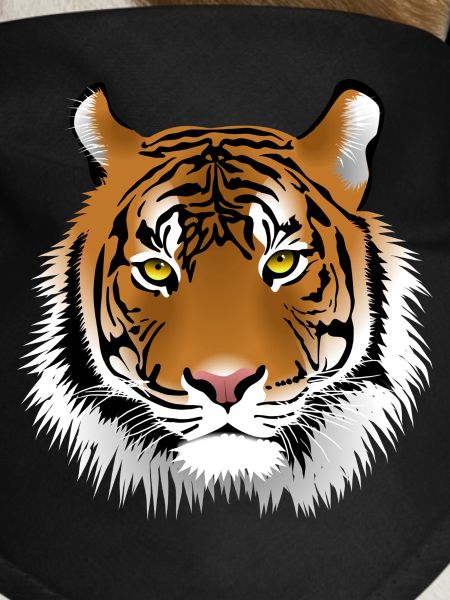 tiger