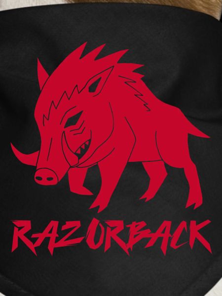 Razorback Red Boar