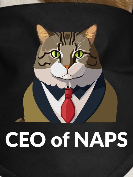Businessman cat with tie