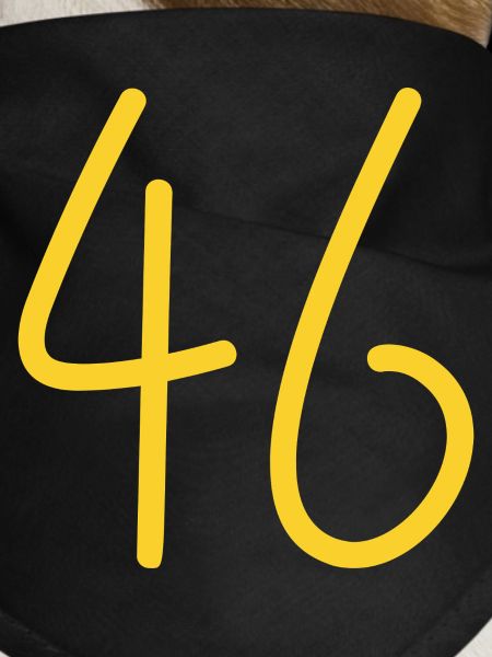 46