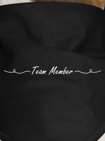 Team Member