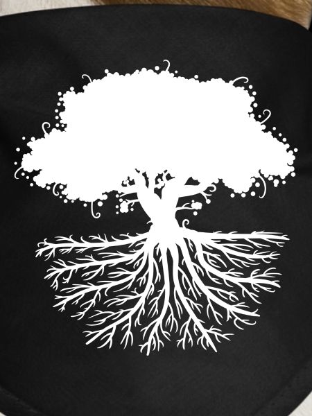 tree roots white