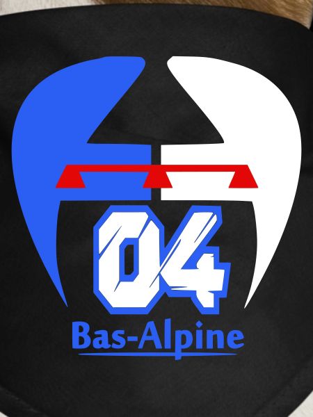 Bas-Alpine 04 logo