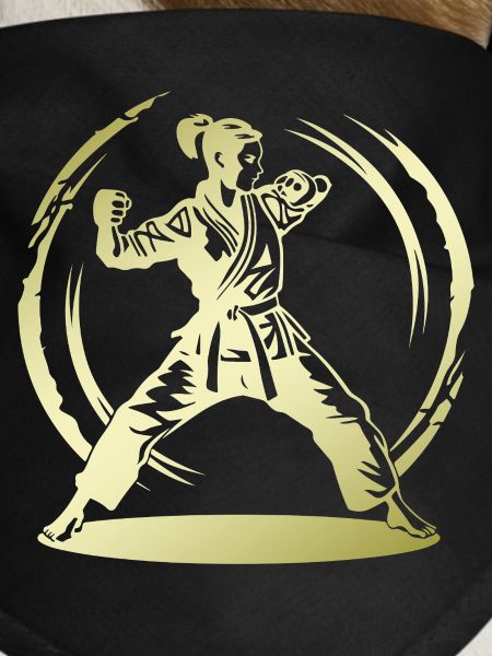 Karate Silhouette Fighter