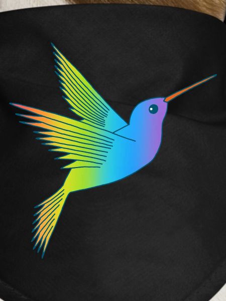 Regenbogenvogel